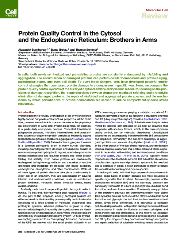 (PDF) Protein quality control in the cytosol and the endoplasmic ...