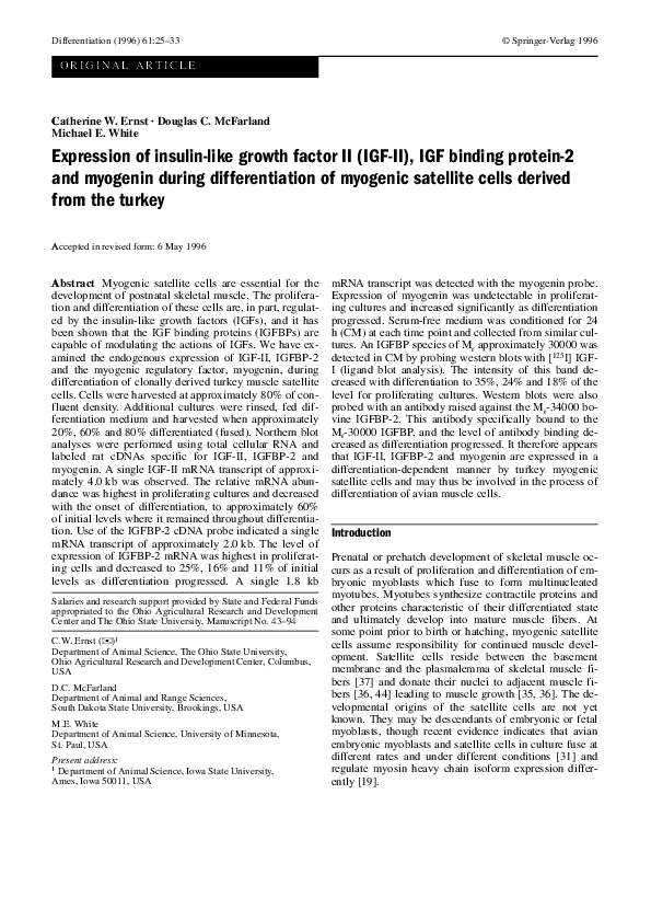 (PDF) Expression of insulin-like growth factor II (IGF-II) and IGF-I ...