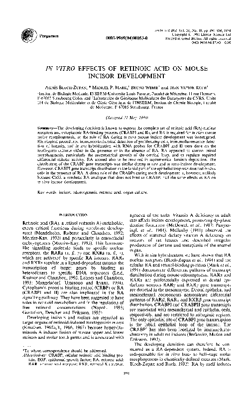 (PDF) In vitro Effects of retinoic acid on mouse incisor development