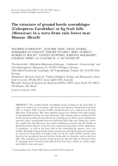 (PDF) The Structure of Ground Beetle Assemblages (Coleoptera: Carabidae ...