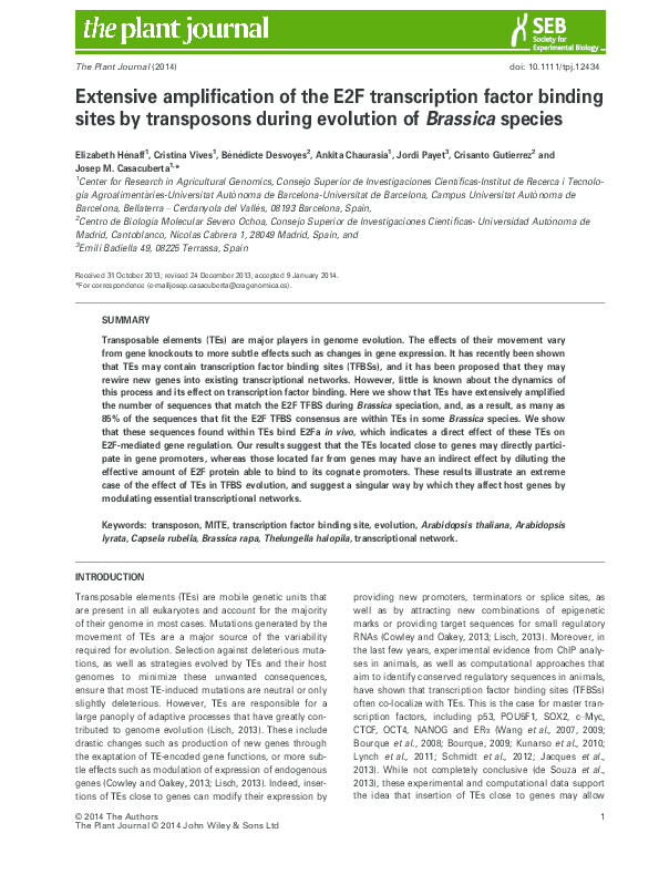 (PDF) Extensive amplification of the E2F transcription factor binding ...