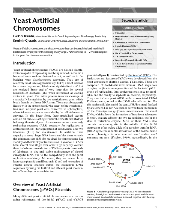 (PDF) Yeast Artificial Chromosomes