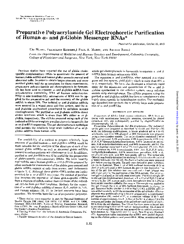サンプル Ferromagnetic PEO coatings on titanium as photo-Fenton-like