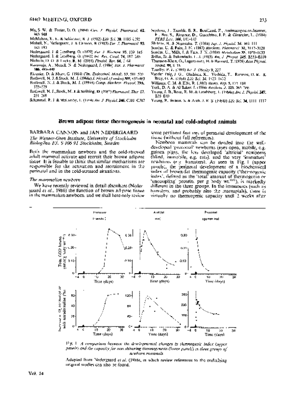 (PDF) Brown adipose tissue thermogenesis in neonatal and cold-adapted ...