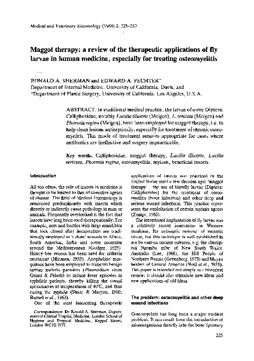 Maggots medical image