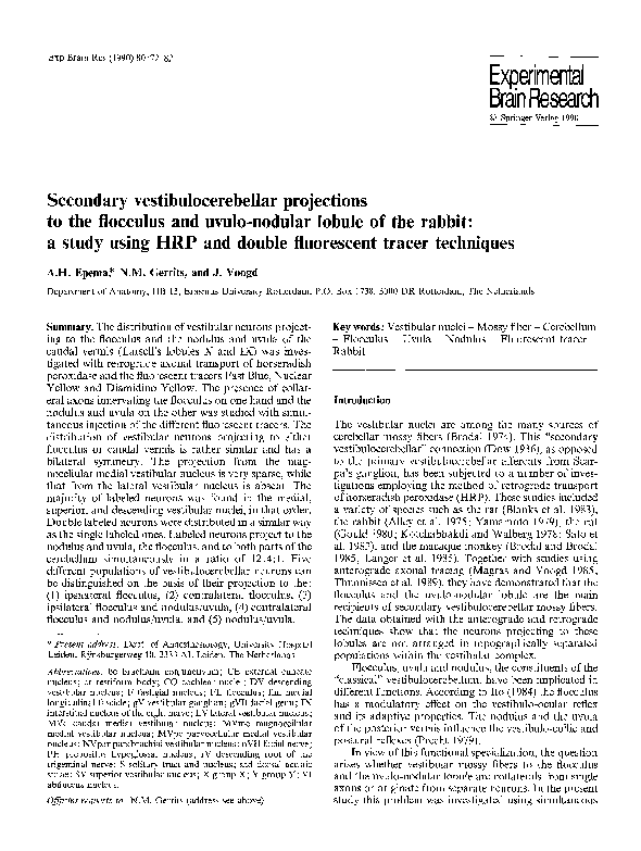 (PDF) Secondary vestibulocerebellar projections to the flocculus and ...