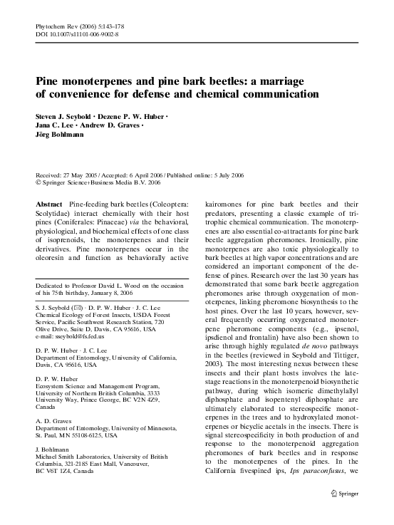 Life after marriage essay picture