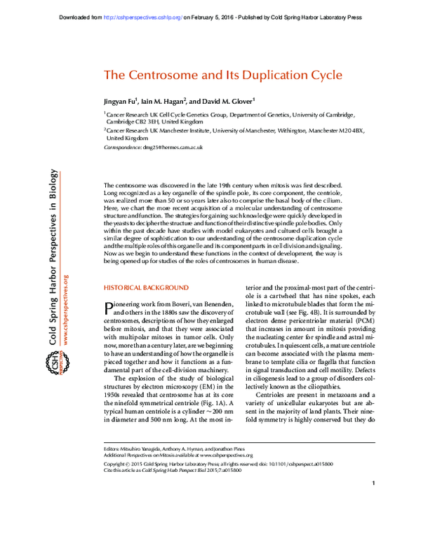 (PDF) The Centrosome and Its Duplication Cycle