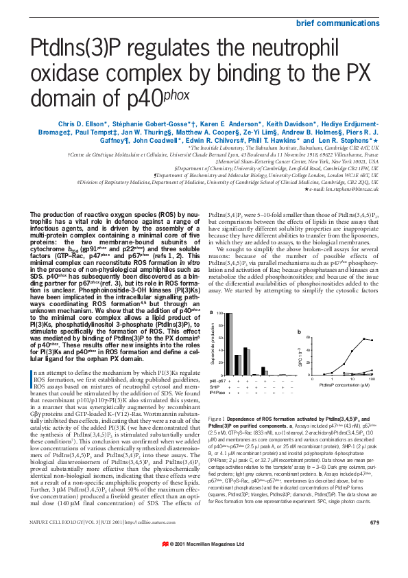 (PDF) PtdIns(3)P regulates the neutrophil oxidase complex by binding to ...
