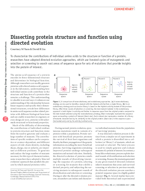 (PDF) Dissecting protein structure and function using directed evolution