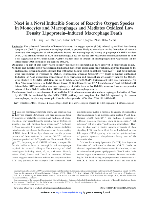 (PDF) Nox4 is a Novel Inducible Source of Reactive Oxygen Species in ...