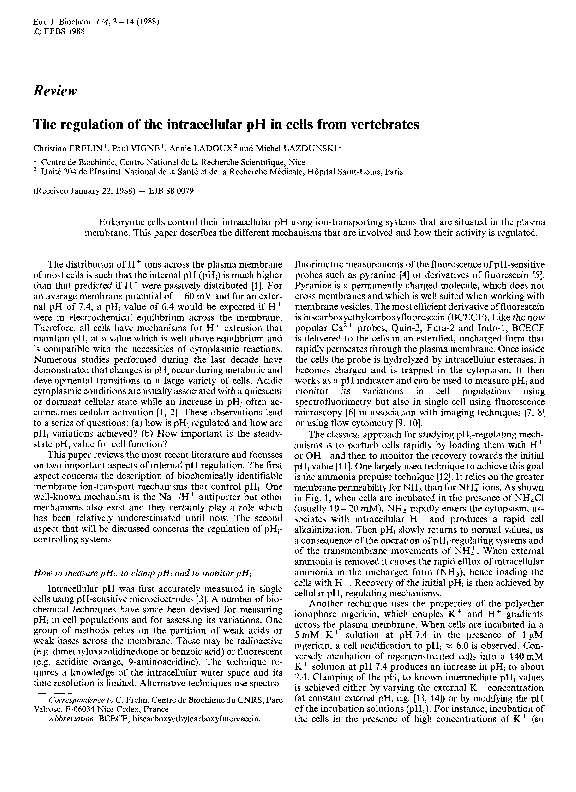 (PDF) The regulation of the intracellular pH in cells from vertebrates