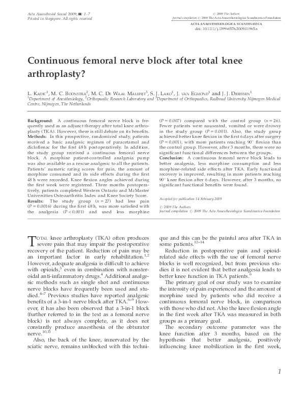 Obturator nerve picture