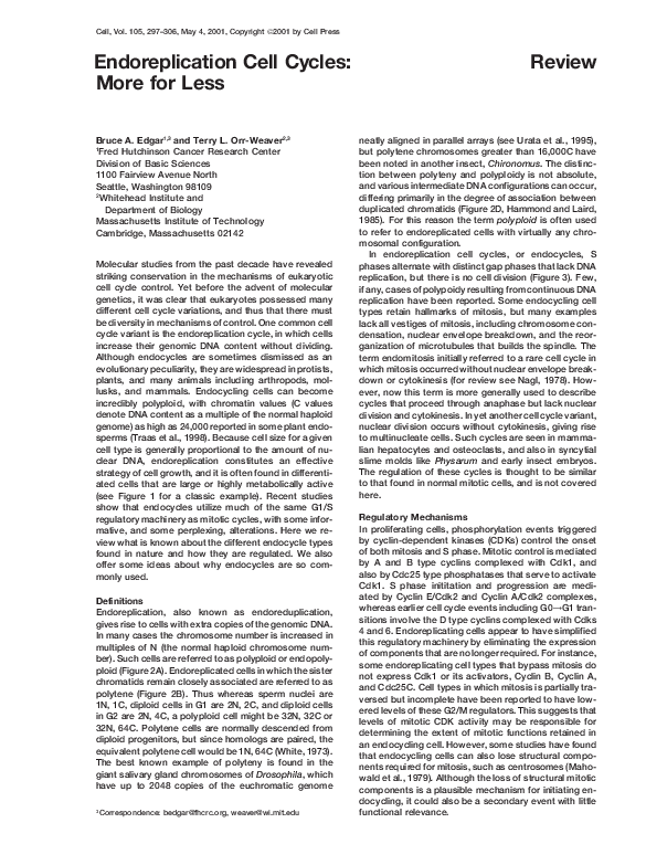 (PDF) Endoreplication Cell Cycles Biology Diagrams