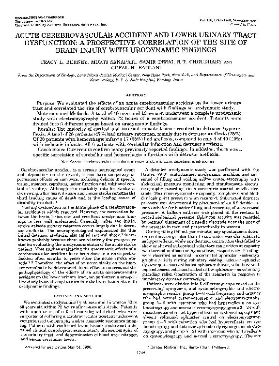 Cerebrovascular accident essay 07 picture