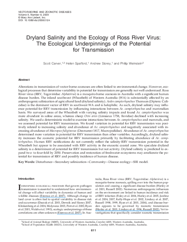 Average salinity of the ocean image