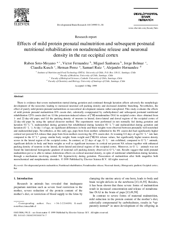 (PDF) Effects of mild protein prenatal malnutrition and subsequent ...