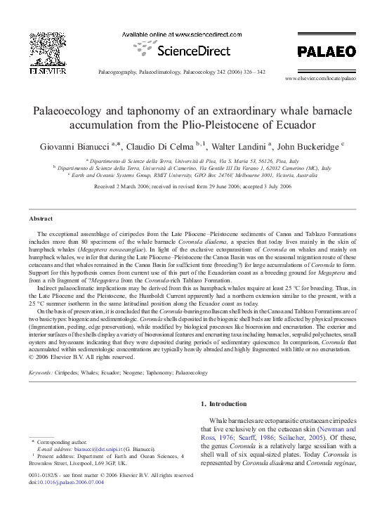 (PDF) Palaeoecology and taphonomy of an extraordinary whale barnacle ...