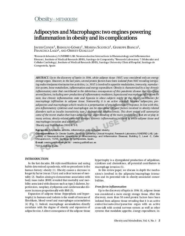 (PDF) Adipocytes and Macrophages: two engines powering inflammation in ...