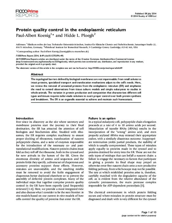 (PDF) Protein Quality Control in the Endoplasmic Reticulum