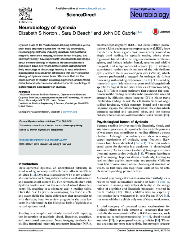 (PDF) Neurobiology of dyslexia