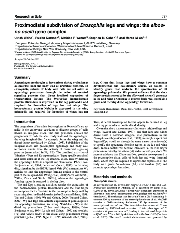 (PDF) Proximodistal subdivision of Drosophila legs and wings: the elbow ...