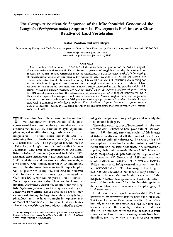 Pdf The Complete Nucleotide Sequence Of The Mitochondrial Genome