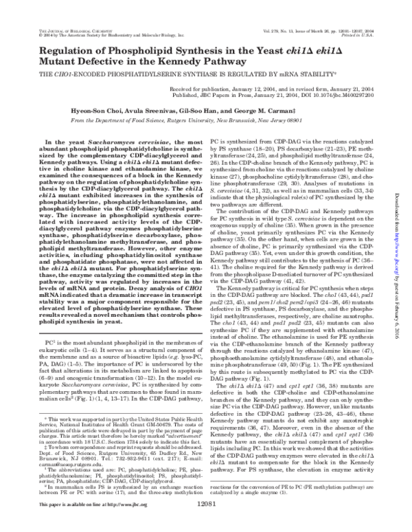 (PDF) Regulation of Phospholipid Synthesis in the Yeast Saccharomyces ...