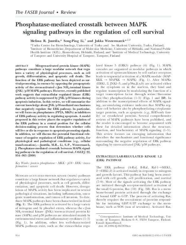 (PDF) Phosphatase-mediated crosstalk between MAPK signaling pathways in ...