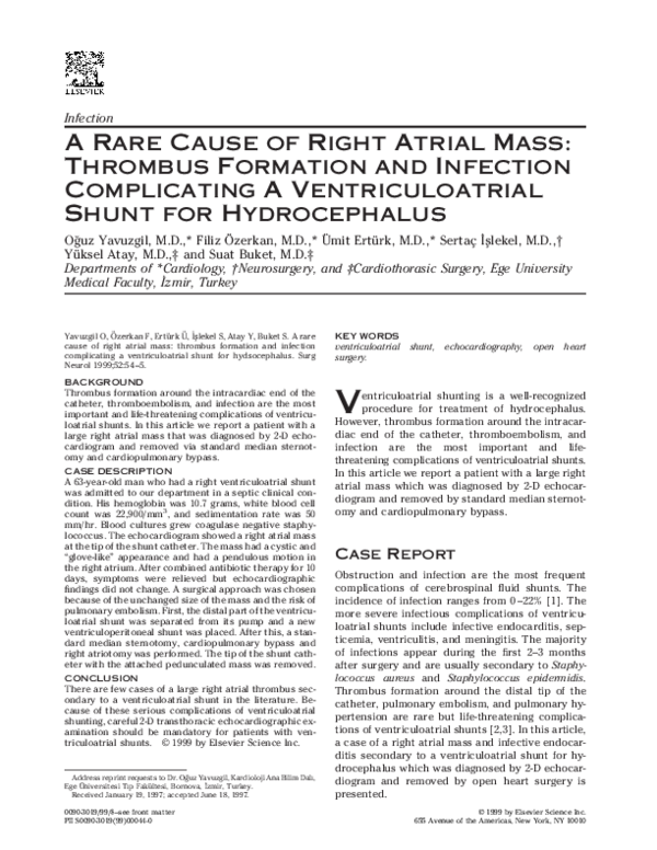 Oguz atay essay 04 picture