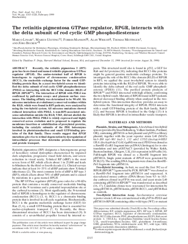 Retinitis pigmentosa essay 08 picture