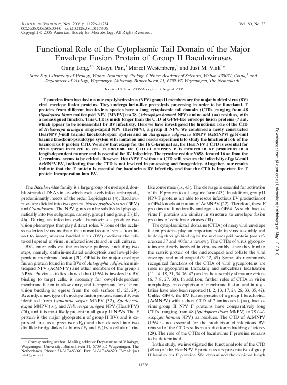 (PDF) Functional Role of the Cytoplasmic Tail Domain of the Major ...