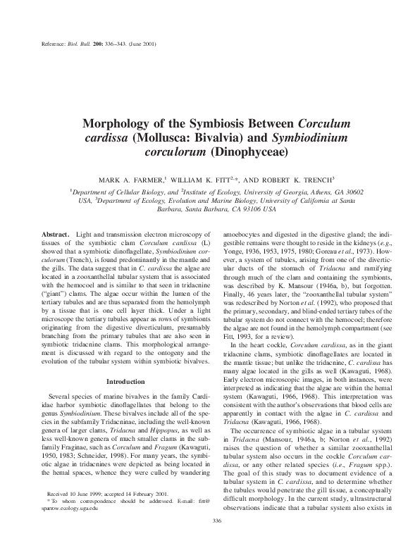 Pdf Morphology Of The Symbiosis Between Corculum Cardissa Mollusca Bivalvia And Symbiodinium Corculorum Dinophyceae Mark Farmer Academia Edu