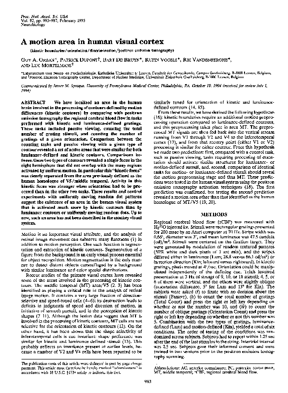 (PDF) A motion area in human visual cortex
