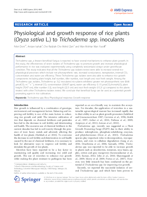 (PDF) Physiological and growth response of rice plants (Oryza sativa L ...