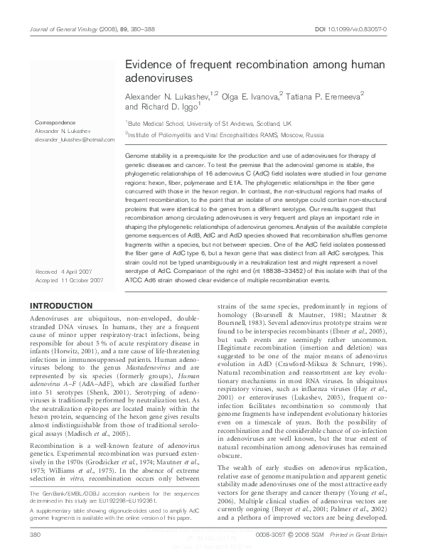 Essay on adenovirus image