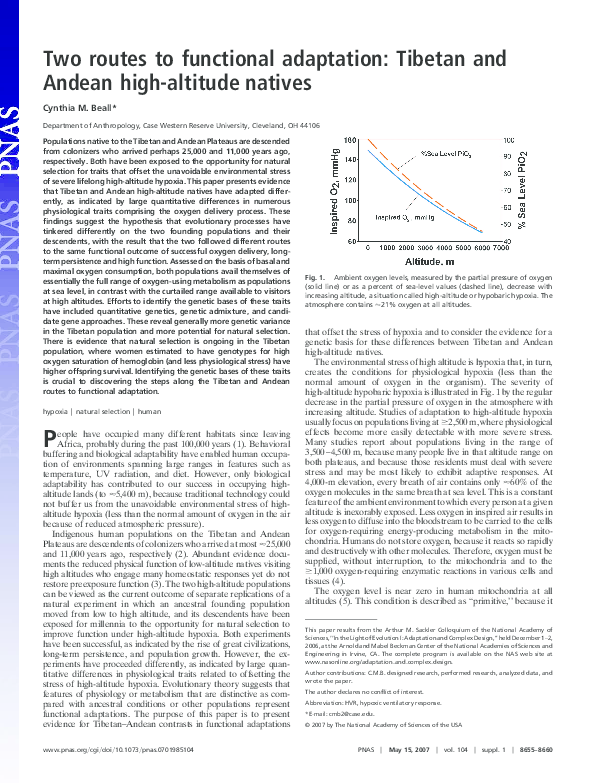 (PDF) Two routes to functional adaptation: Tibetan and Andean high ...