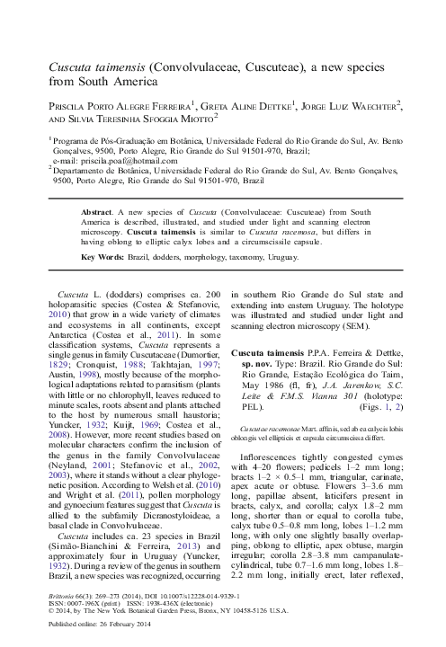 Dodder scientific name image