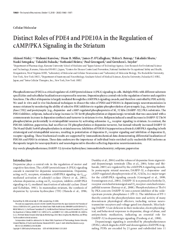 (PDF) Distinct Roles of PDE4 and PDE10A in the Regulation of cAMP/PKA ...