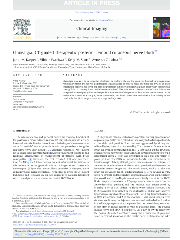 (PDF) Clunealgia: CT-guided therapeutic posterior femoral cutaneous ...