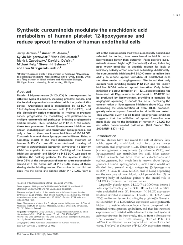 (PDF) Synthetic curcuminoids modulate the arachidonic acid metabolism ...