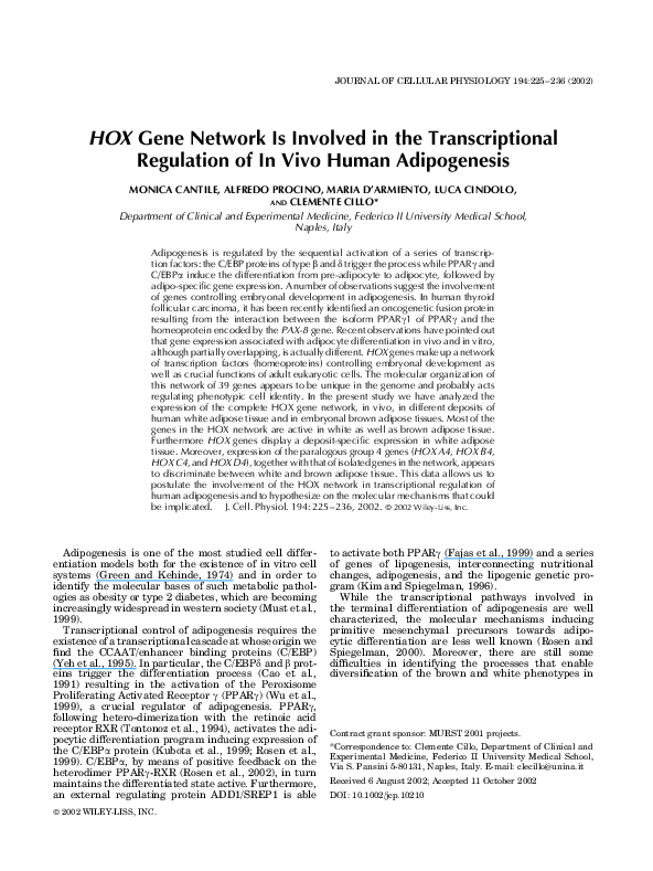(PDF) HOX gene network is involved in the transcriptional regulation of ...