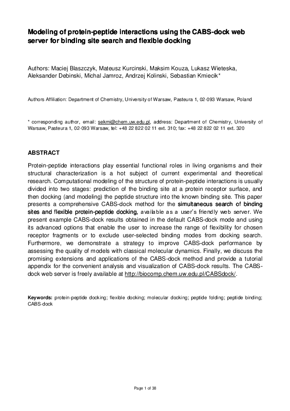 Web server essay image