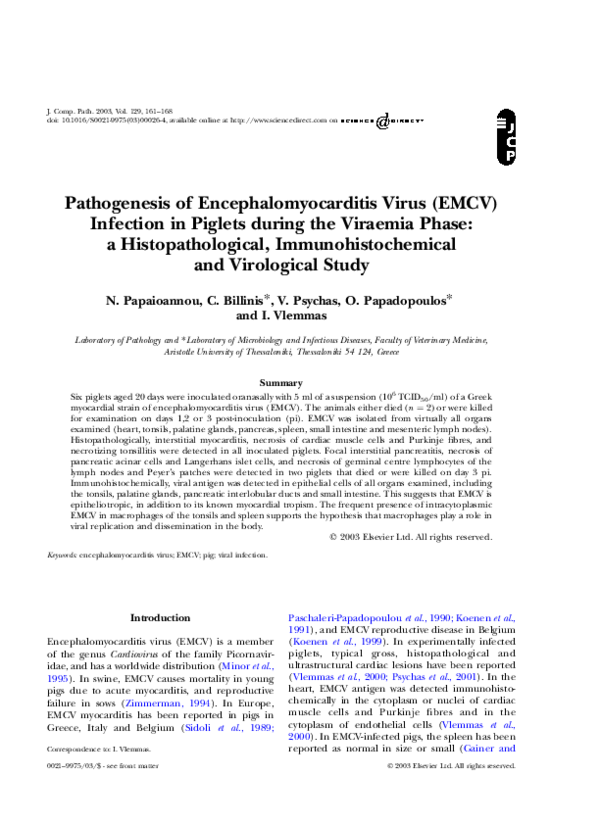 (PDF) Pathogenesis of Encephalomyocarditis Virus (EMCV) Infection in ...