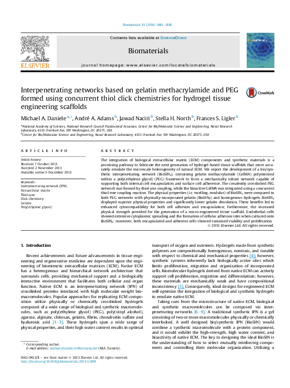 (PDF) Interpenetrating networks based on gelatin methacrylamide and PEG ...