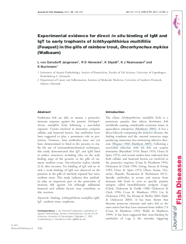 Essaypro reviews image