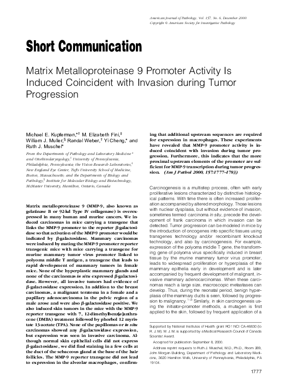 (PDF) Matrix Metalloproteinase 9 Promoter Activity Is Induced ...