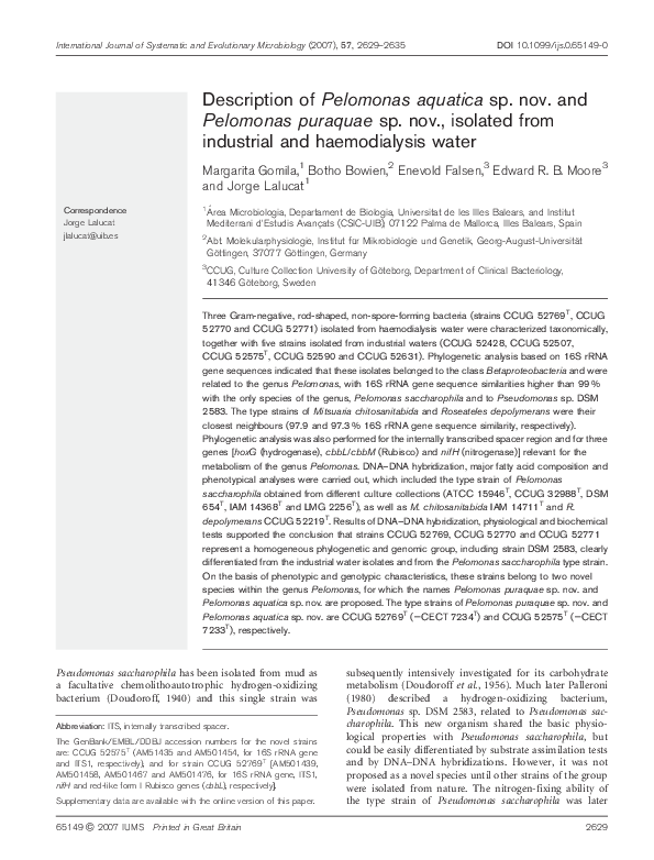 Seaworld in florida picture