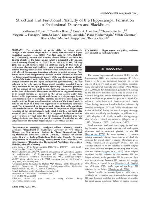 (PDF) Structural and functional plasticity of the hippocampal formation ...