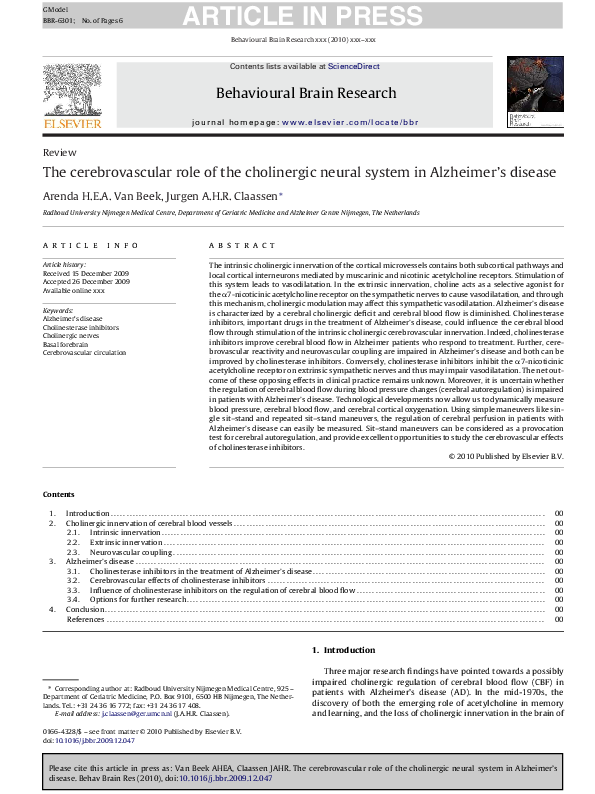 (PDF) The cerebrovascular role of the cholinergic neural system in ...